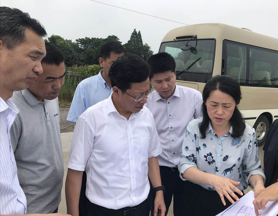 区领导陈志良视察武进区防汛工作