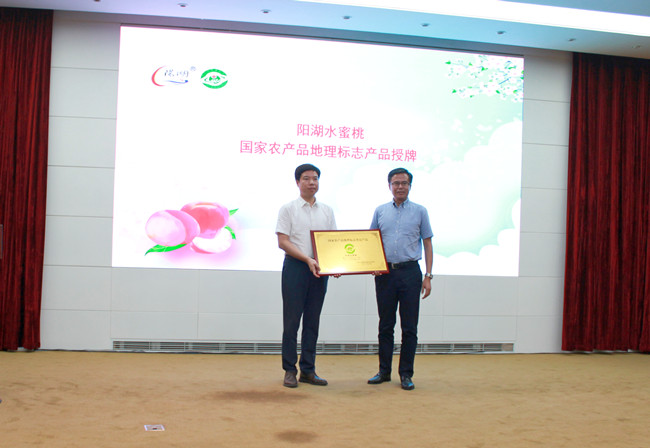 “阳湖”水蜜桃国家农产品地理标志产品荣誉牌