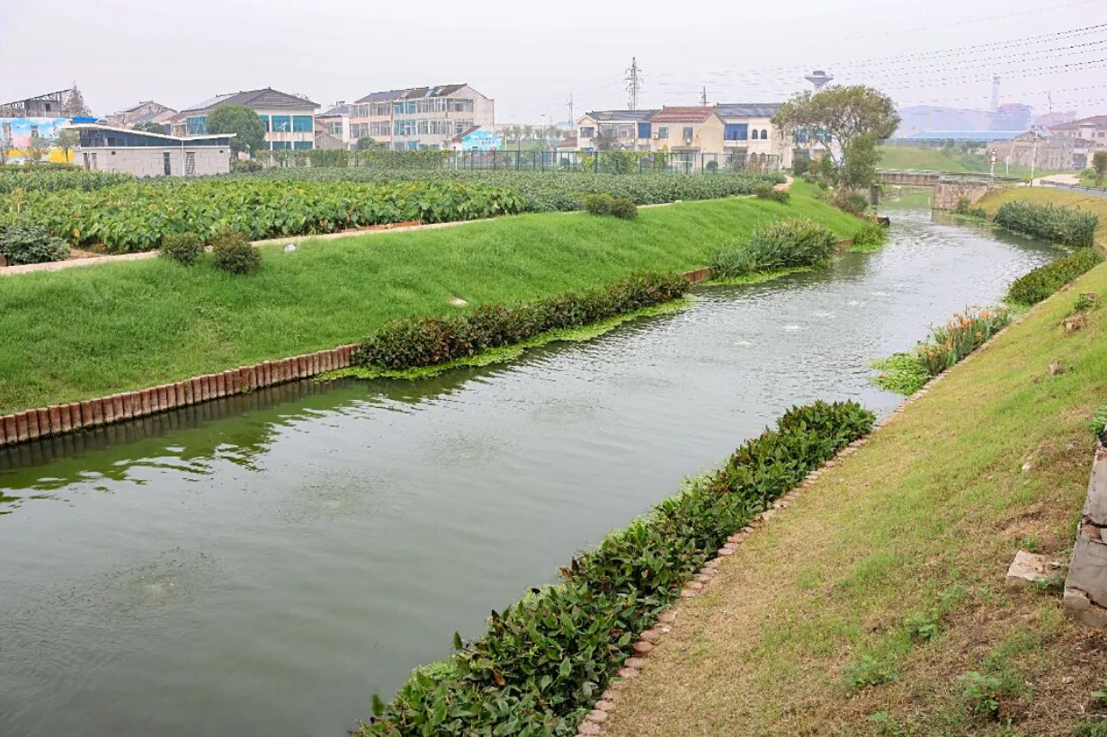 湟里镇打出治水“组合拳” 绘就水清岸绿新画卷