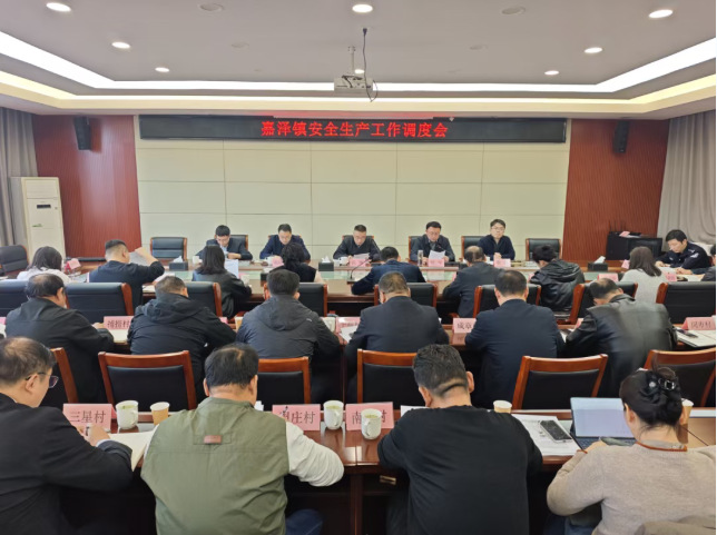 压紧压实安全责任 筑牢发展安全屏障——嘉泽镇开展安全生产大检查暨重点工作调度会