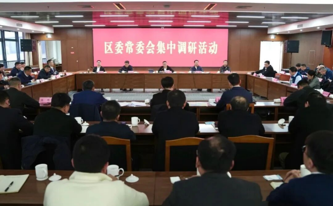 区委常委会集中调研西太湖片区融合式发展情况