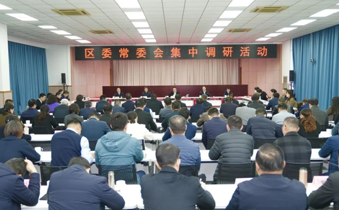 区委常委会集中调研武高新片区组团式发展情况