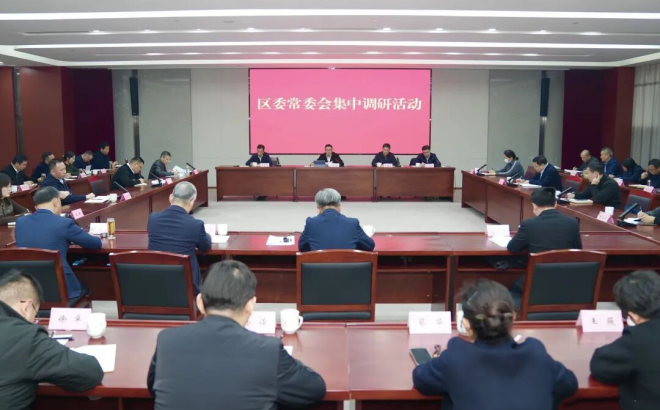 区委常委会集中调研湾镇一体化发展