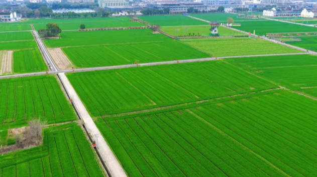 武进，“耕”新了！