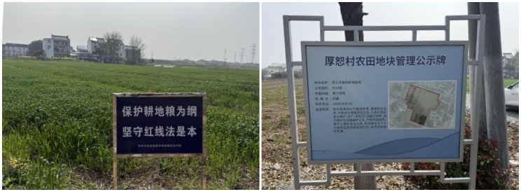 保护耕地 寸土必珍——高新区自然资源和规划中心所牛塘服务站持续加大耕地保护执法巡查力度