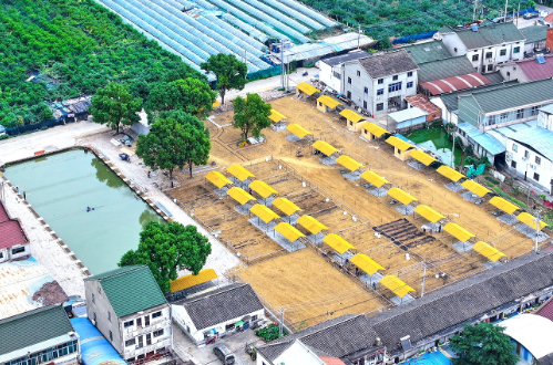 牛塘镇海棠蔬香农场小程序上线  “码”上种田 线上增收