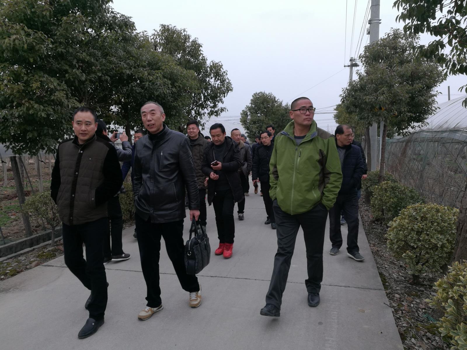 QQ图片20180125093613.jpg