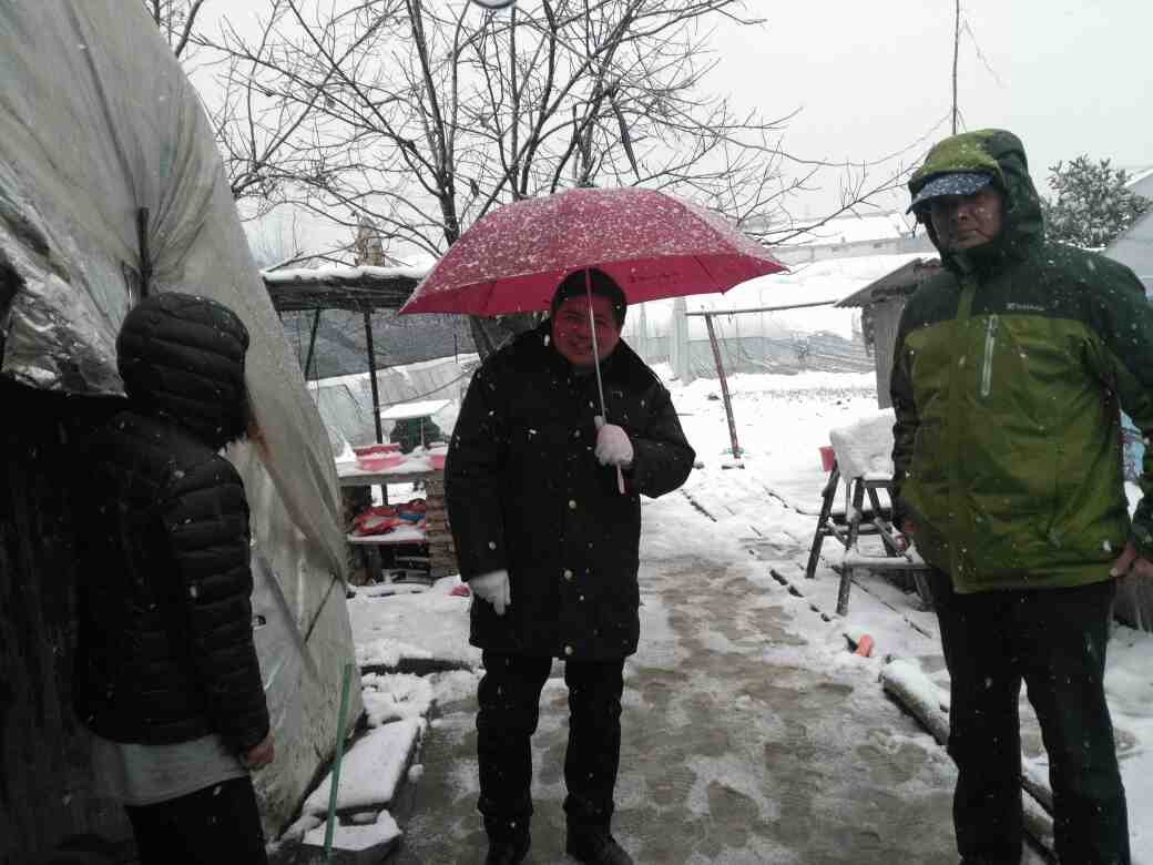 2018-01-25雪天巡查大棚.jpeg