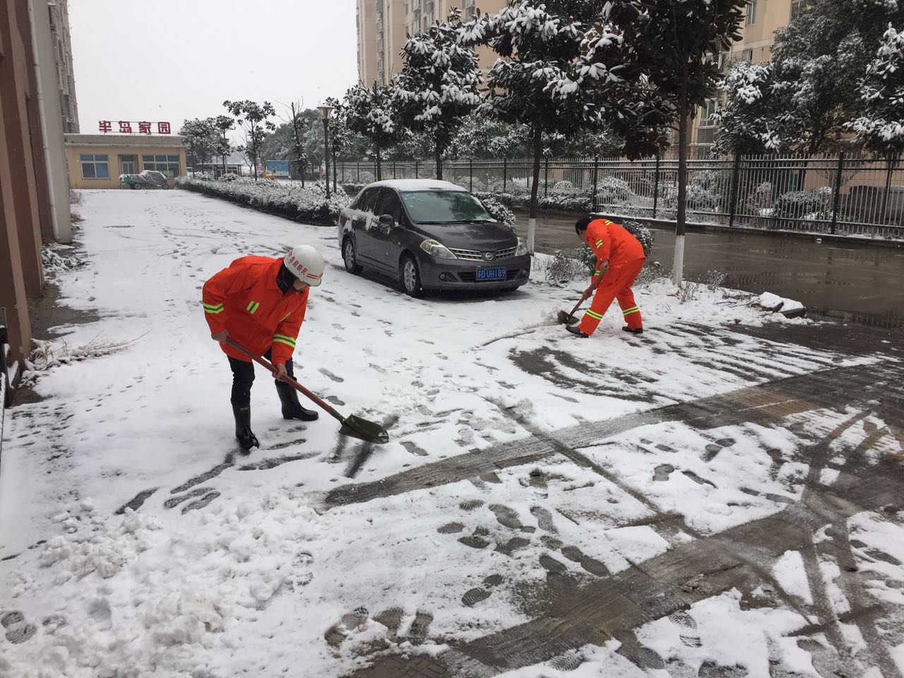 QQ图片20180125103427.jpg