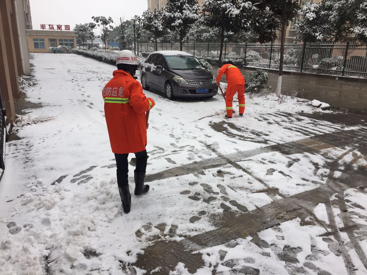 QQ图片20180125103431.jpg