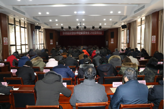基层党建工作 评述会议106.png