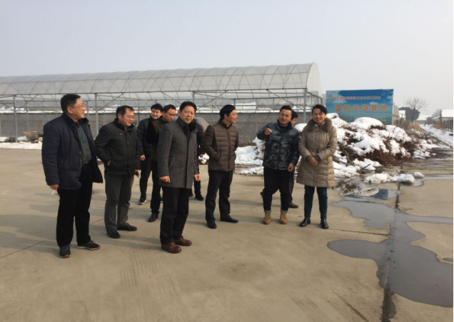 薛区长调研洛阳农口项目及水环境整治158.png