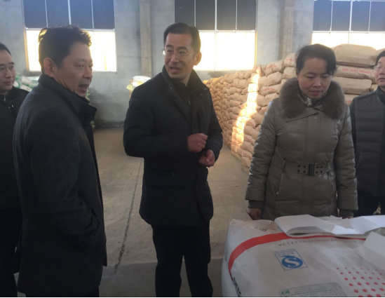 薛区长调研洛阳农口项目及水环境整治590.png