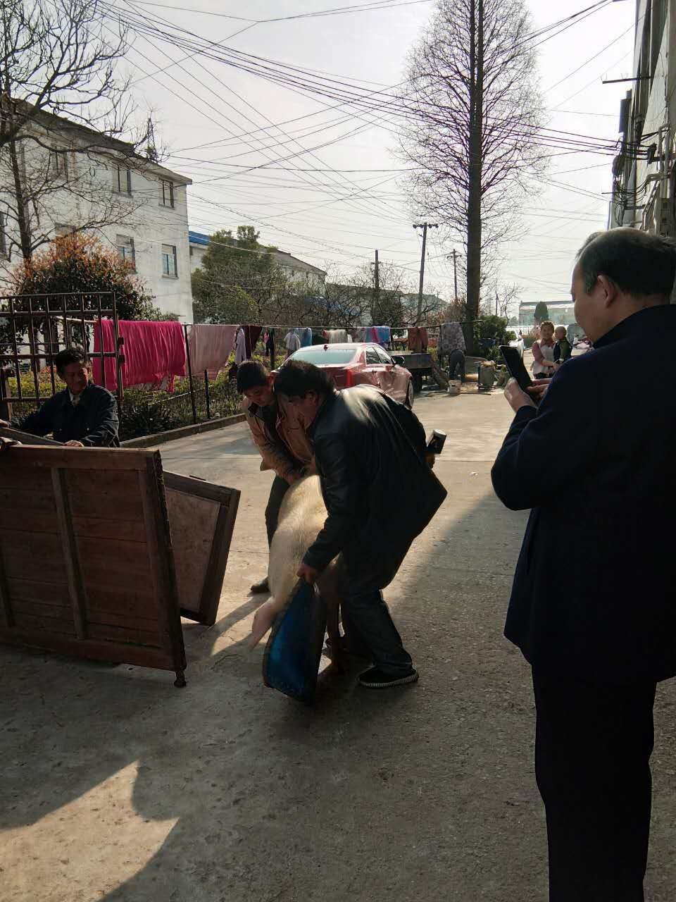 QQ图片20180409140436.jpg
