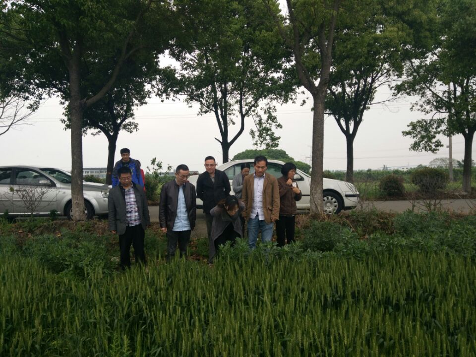 QQ图片20180424131853.jpg
