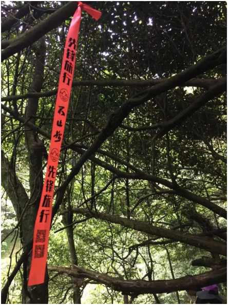 QQ图片20180607141744.png