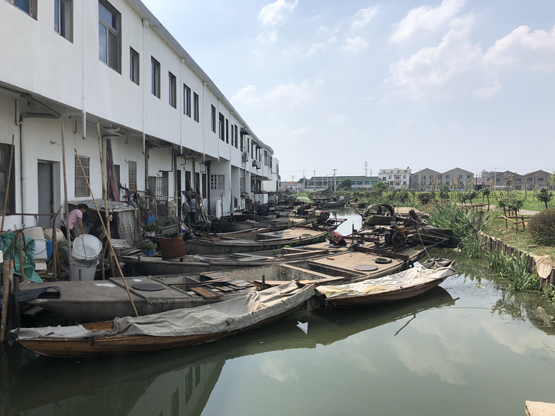 老鸦浜整治前_副本.jpg
