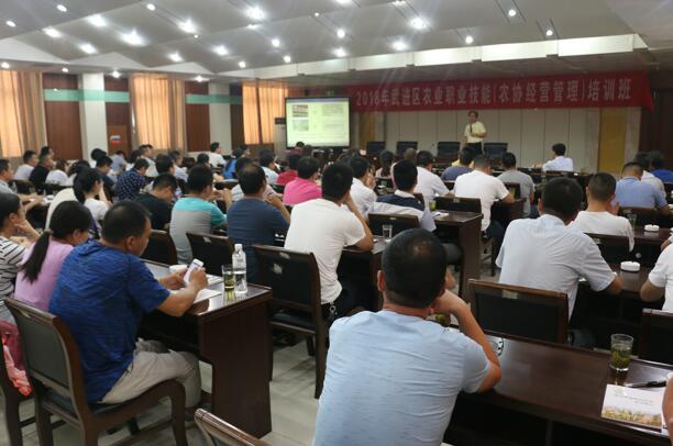 QQ截图20180813134336.jpg