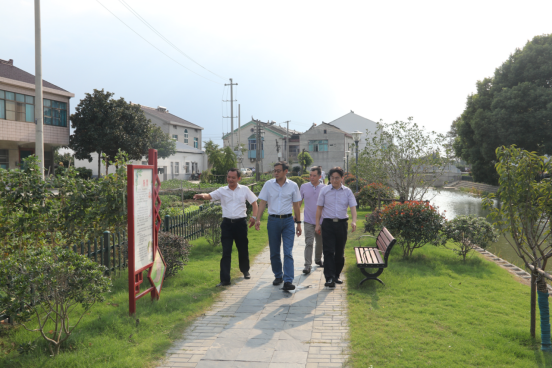 洛阳镇岑村村迎省级验收“全国综合减灾示范村”创建工作379.png