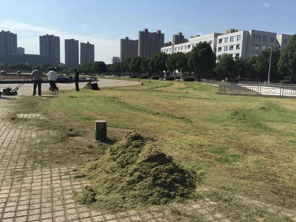微信图片_20181009155637.jpg