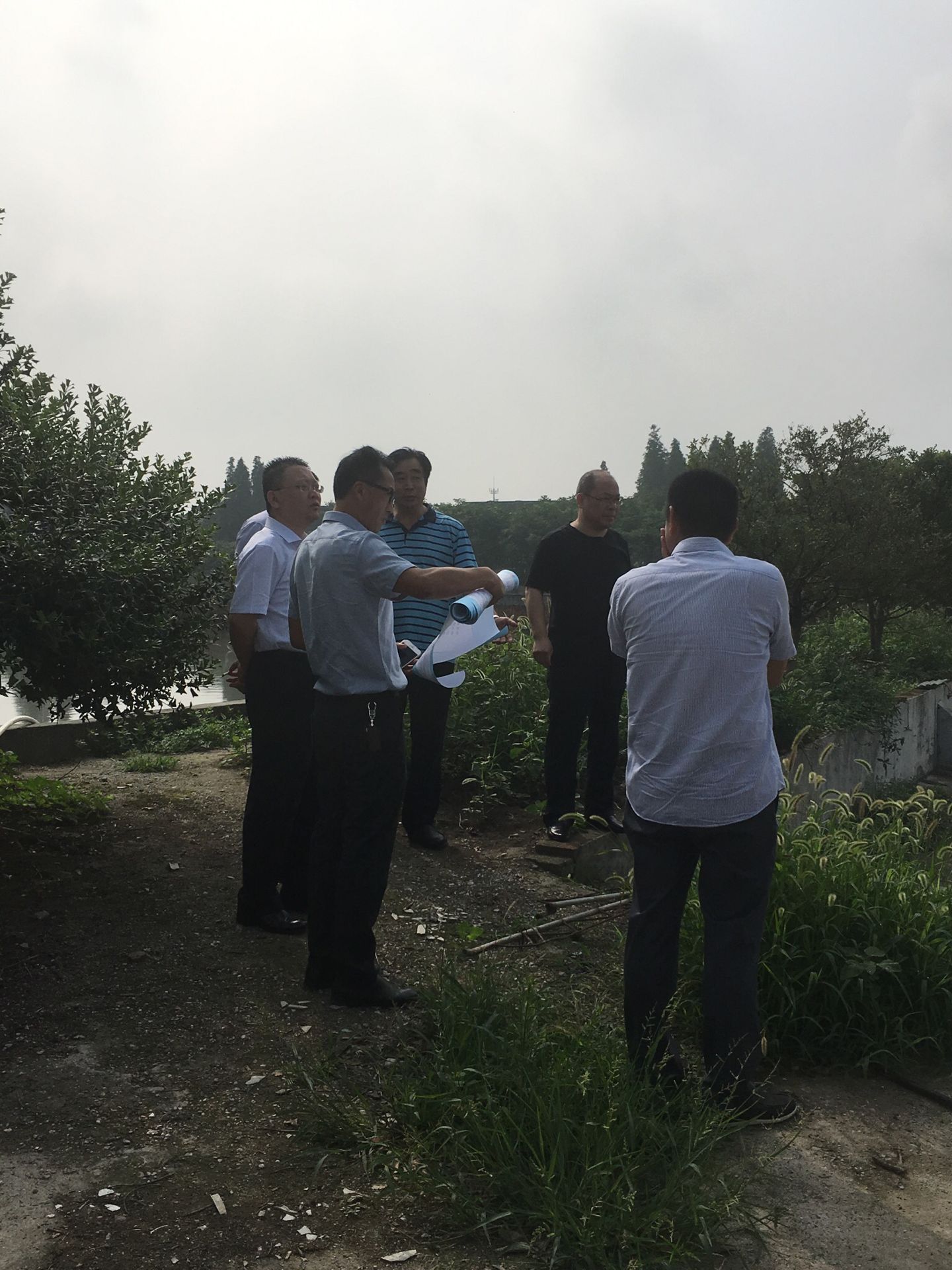 是区长视察现场2.jpg