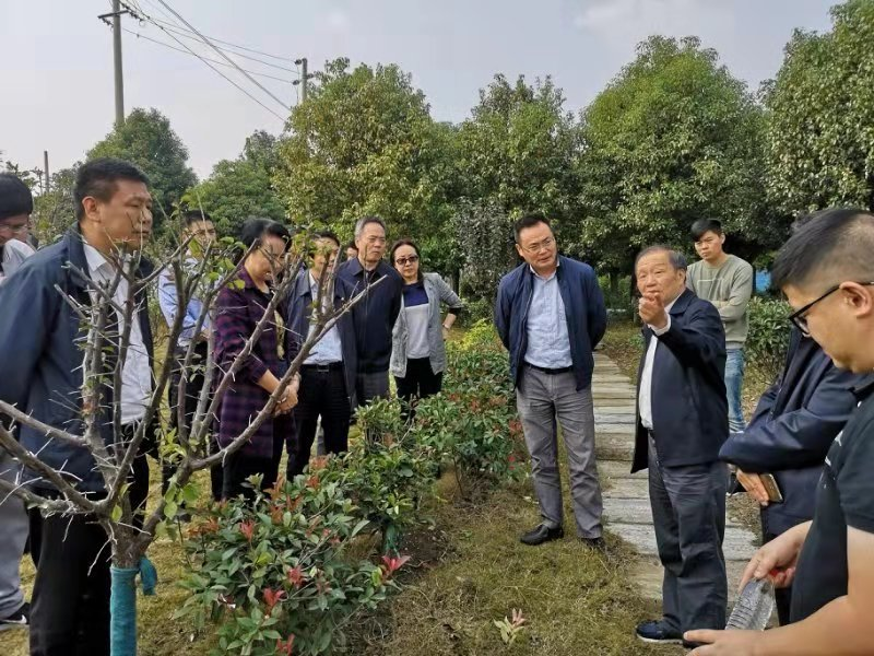 QQ图片20181025144700.png