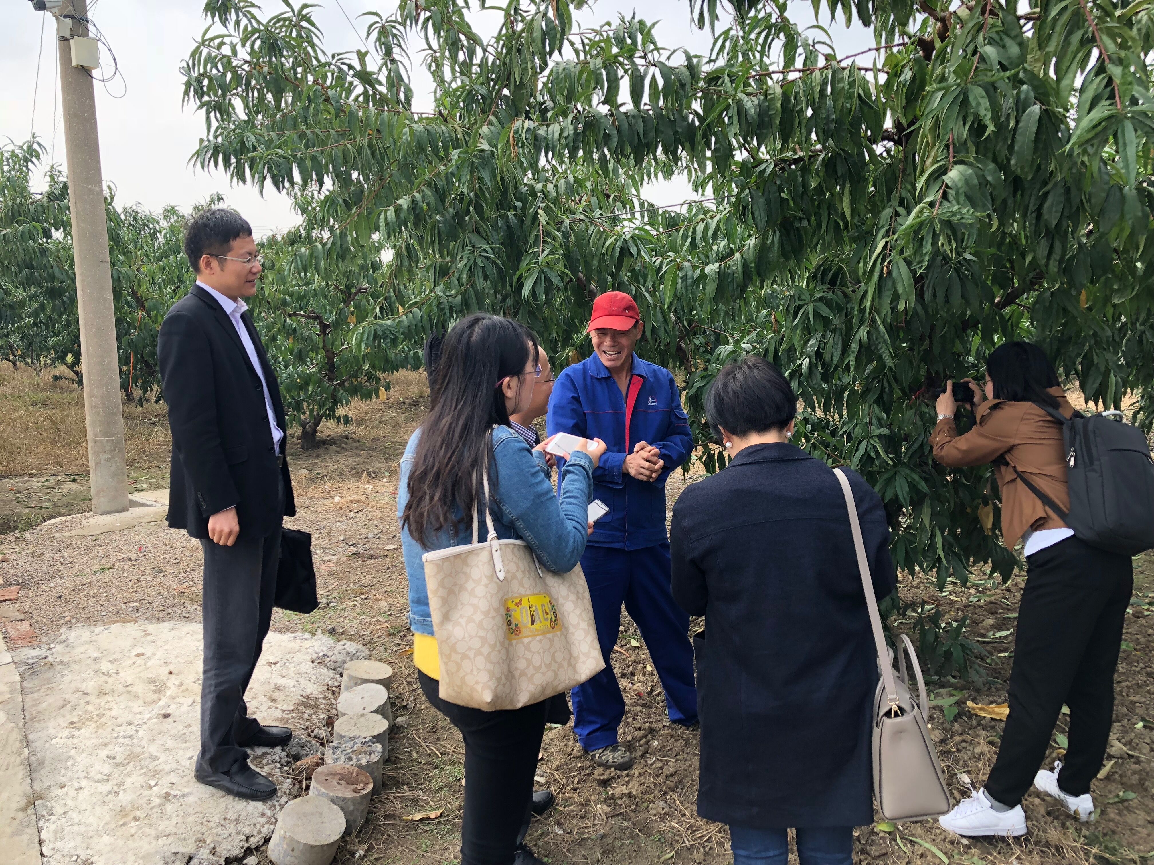 QQ图片20181026150734.jpg