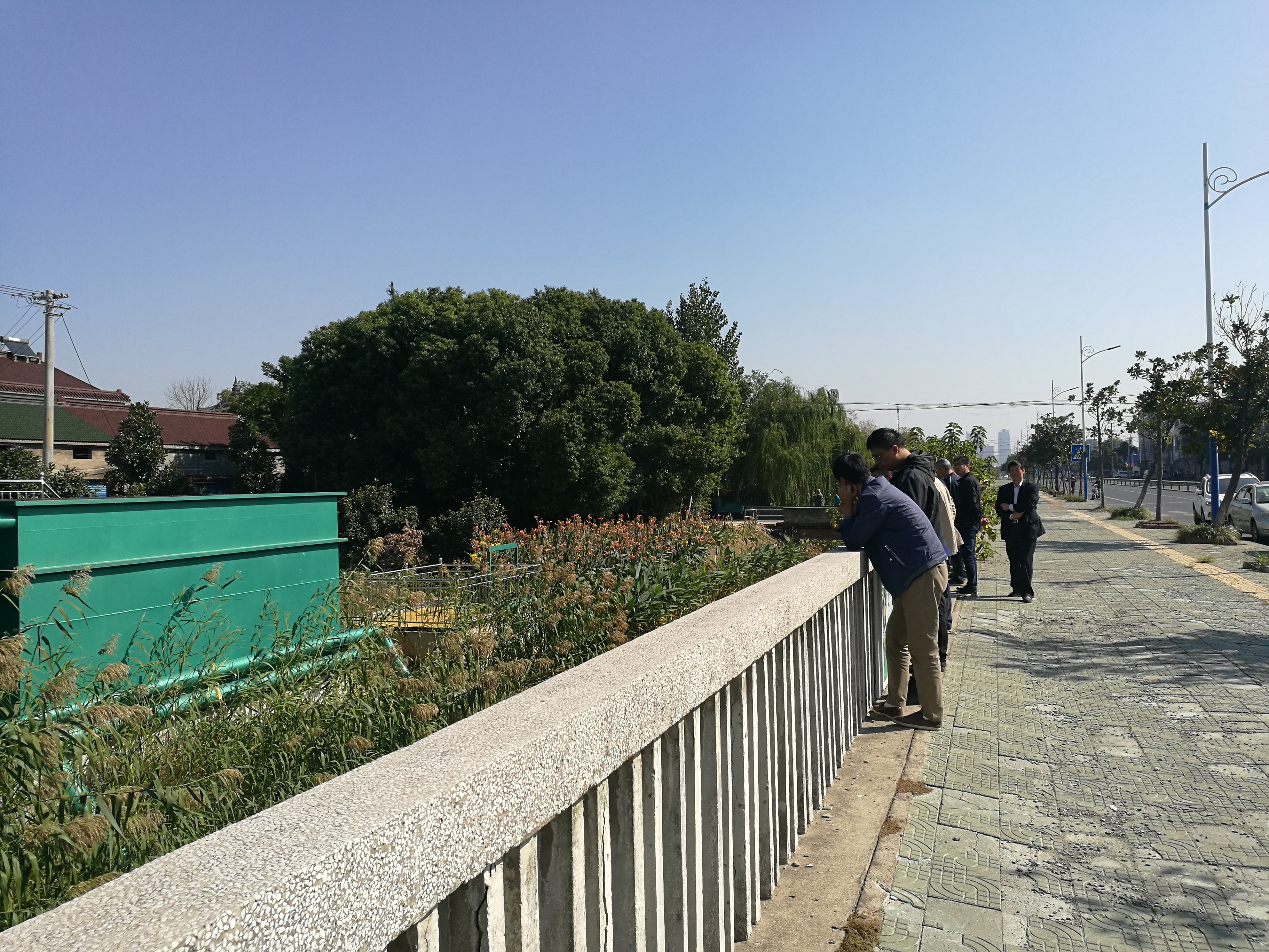 IMG_20181029_104137.jpg