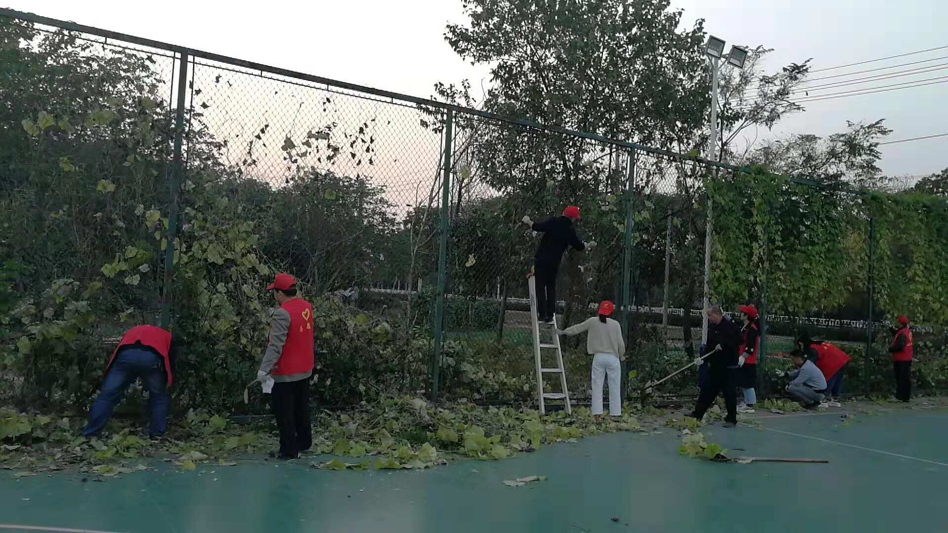 QQ图片20181101083023.jpg